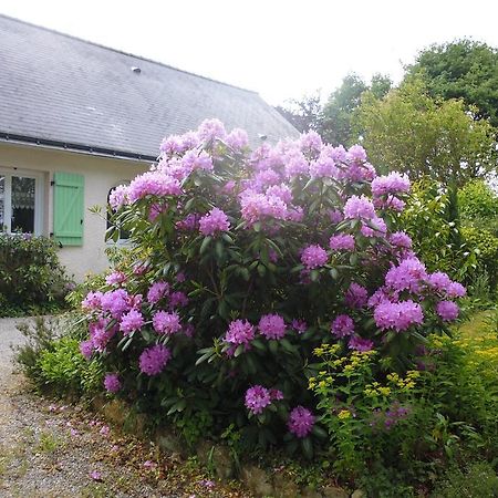 Le Pre De La Lande Bed & Breakfast ลา-ชาเปล-ซัวร์-เอเดร ภายนอก รูปภาพ
